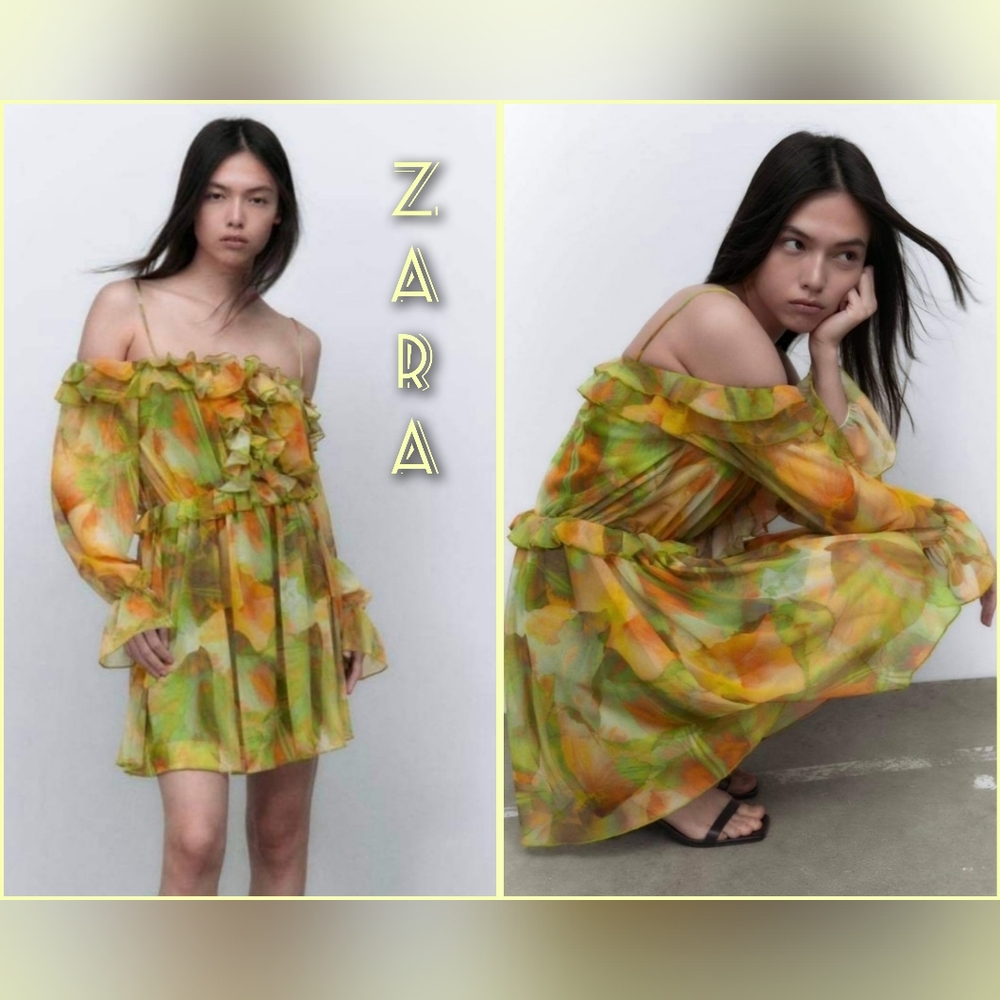 Zara Printed Tulle Mini Dress Size M